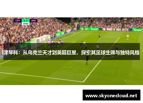 津琴科：从乌克兰天才到英超巨星，探索其足球生涯与独特风格