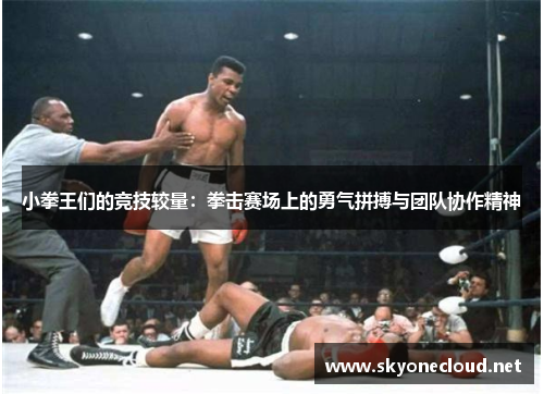 小拳王们的竞技较量：拳击赛场上的勇气拼搏与团队协作精神