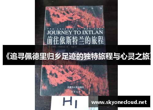 《追寻佩德里归乡足迹的独特旅程与心灵之旅》
