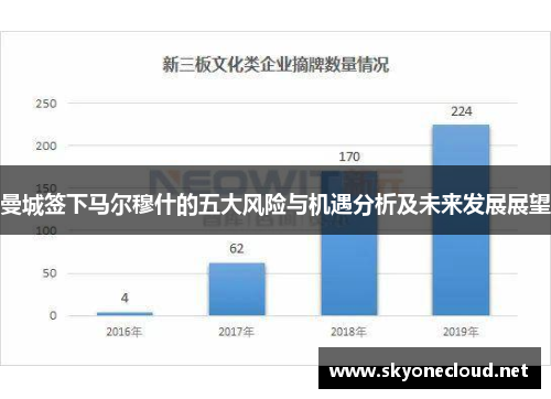 曼城签下马尔穆什的五大风险与机遇分析及未来发展展望