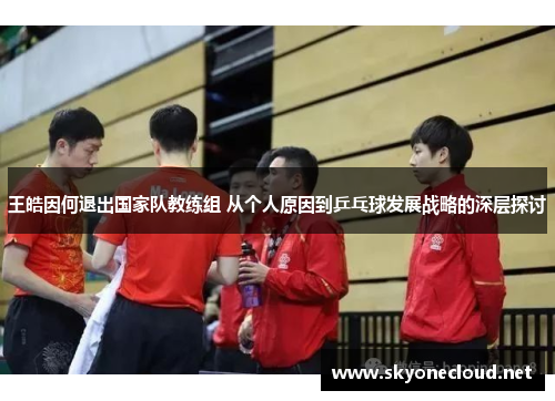 王皓因何退出国家队教练组 从个人原因到乒乓球发展战略的深层探讨