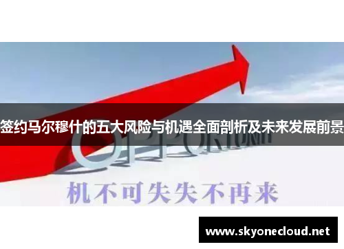 签约马尔穆什的五大风险与机遇全面剖析及未来发展前景